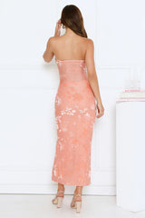 Style Too Good Strapless Mesh Maxi Dress Peach